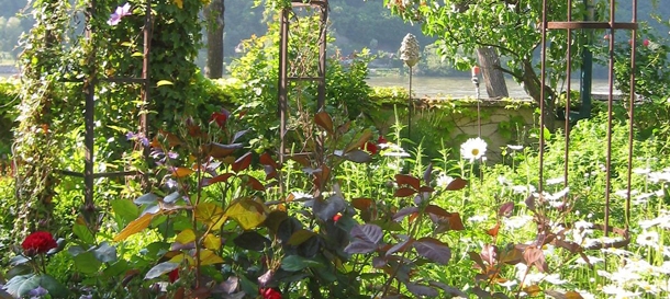 Hotel Gasthof Donauwirt Wachau