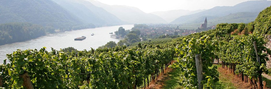Weingenießertage Wachau Beschreibung der Pauschale.