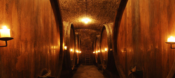 Wein und Kultur in der Wachau Beschreibung der Pauschale.