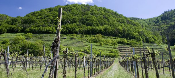 100% Wachau & Wandern Beschreibung der Pauschale.