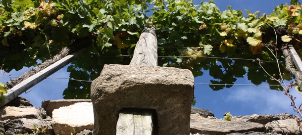 Wein & Herbst - Genuss Beschreibung der Pauschale.