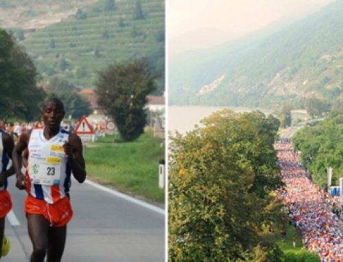Wachau Marathon 2024