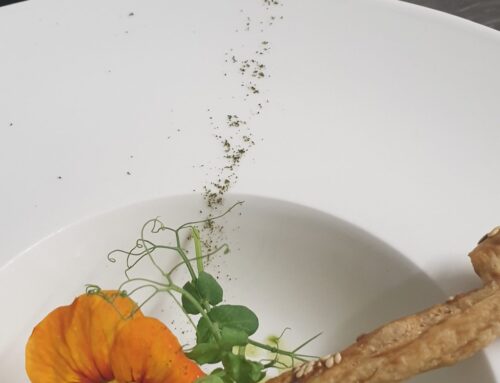 wachau GOURMETfestival 2025
