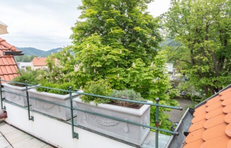 Neuburger_donauwirt-199 (Groß) Ausblick ZI Neuburger